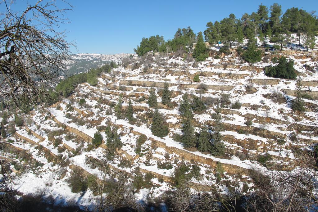 The Nest - A Romantic Vacation Home In Ein Kerem - Jeruzsálem Kültér fotó